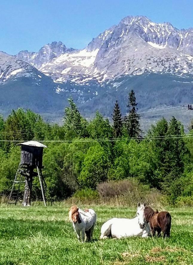 Hotel Penzión Monty Ranch Vysoké Tatry Štôla Extérieur photo